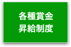 各種賞金 昇級制度